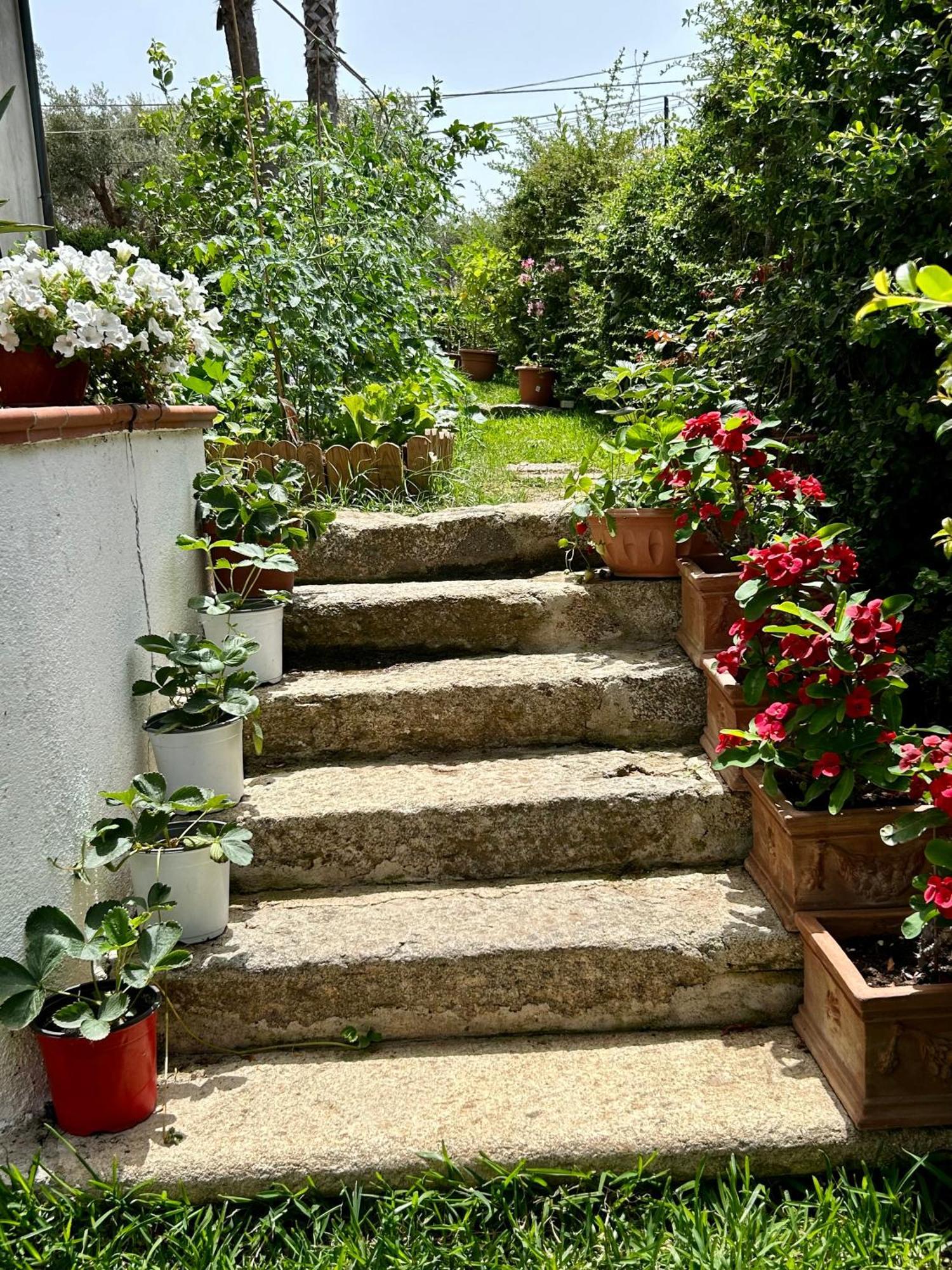 Alto Giardino Apartment Дзамброне Екстериор снимка